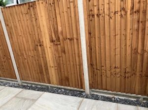 Fencing-6