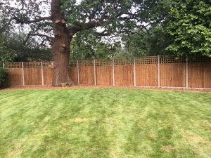 Fencing-7